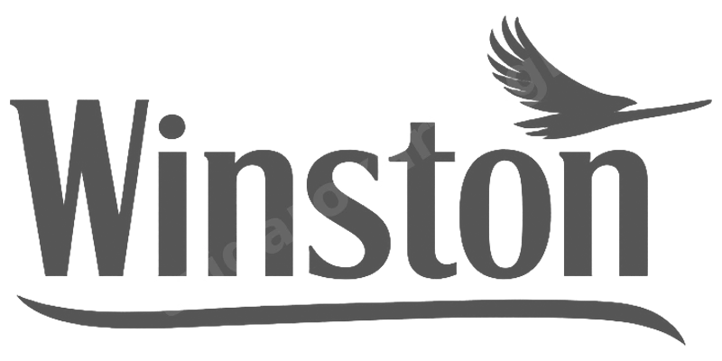 Winston logo